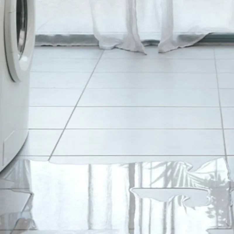 Appliance Leak Cleanup in Olla, LA