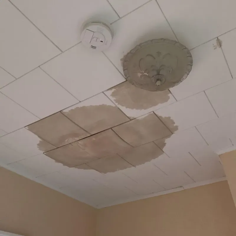 Ceiling Water Damage Repair in Olla, LA