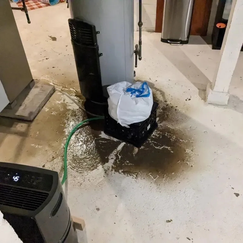 Sewage Backup Cleanup Service in Olla, LA